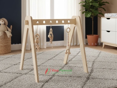 Đồ chơi tập thể dục cho trẻ sơ sinh VD6801